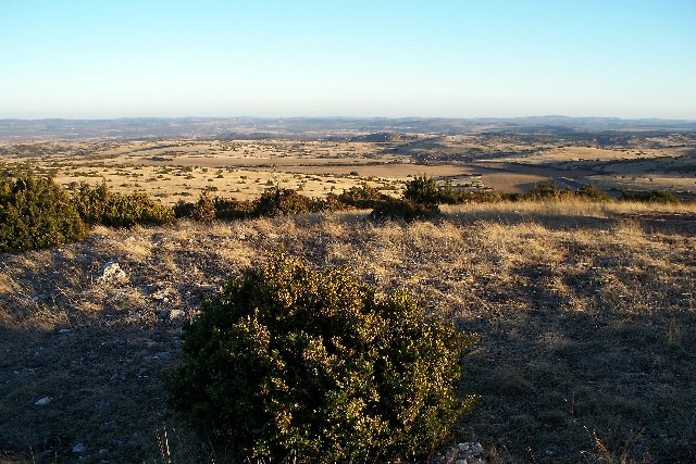 Causses
